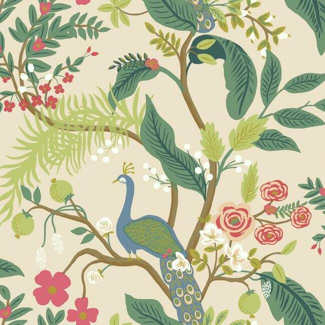 Peacock Wallpaper Blush Double Roll