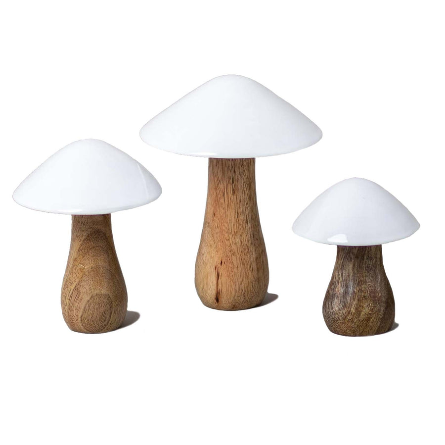 Mango Wood & Enamel Mushrooms